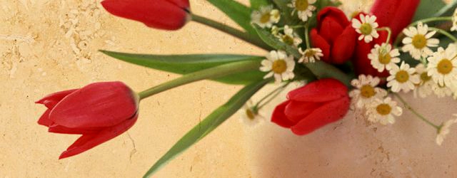 冠婚葬祭のお祝い。もらって嬉しかった出産祝いとは?